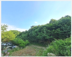  2023Ÿ��4523 ����Ư����ġ�� �屺�� �ݾϸ� 318-1       ����(�Ӿ�)���