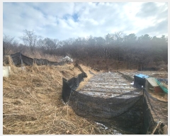  2023Ÿ120494   ̻絿 1-1       (1)