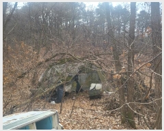  2023Ÿ120494   ̻絿 1-1       (1)