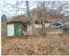  2023Ÿ120494   ̻絿 1-1       (1)