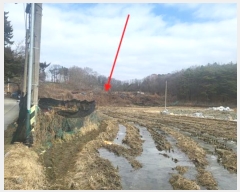  2023Ÿ120494   ̻絿 1-1       (1)