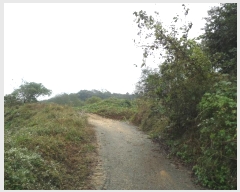  2023Ÿ��19825 �泲 ���걺 ����� ������ 782-13      ����(�Ӿ�)���