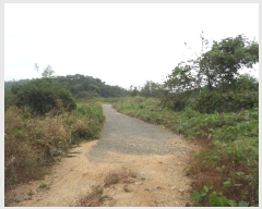  2023Ÿ��19825 �泲 ���걺 ����� ������ 782-13      ����(�Ӿ�)���