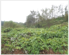  2023Ÿ��19825 �泲 ���걺 ����� ������ 782-13      ����(�Ӿ�)���