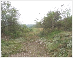  2023Ÿ��19825 �泲 ���걺 ����� ������ 782-13      ����(�Ӿ�)���