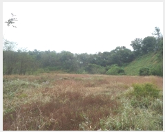  2023Ÿ��19825 �泲 ���걺 ����� ������ 782-13      ����(�Ӿ�)���