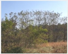  2023Ÿ��19825 �泲 ���걺 ����� ������ 782-13      ����(�Ӿ�)���