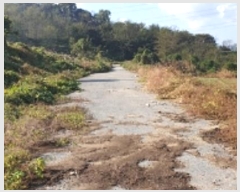  2023Ÿ��19825 �泲 ���걺 ����� ������ 782-13      ����(�Ӿ�)���