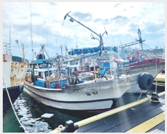  2023Ÿ��3134  ���ڰ��