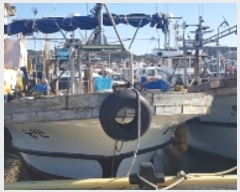  2023Ÿ��3134  ���ڰ��