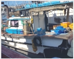  2023Ÿ��3134  ���ڰ��