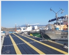  2023Ÿ��3134  ���ڰ��