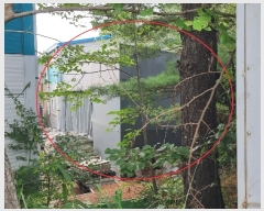  2023Ÿ��909 �泲 ����� ������ ������� 355 (��ٹٽ�)     ������