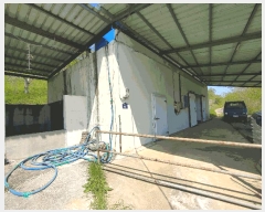  2023Ÿ2448 泲 ο  Ŵ븮 266-1      ,â