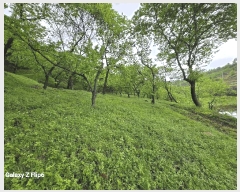  2023Ÿ2448 泲 ο  Ŵ븮 266-1      ,â