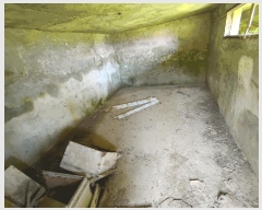  2023Ÿ2448 泲 ο  Ŵ븮 266-1      ,â