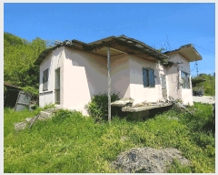  2023Ÿ2448 泲 ο  Ŵ븮 266-1      ,â