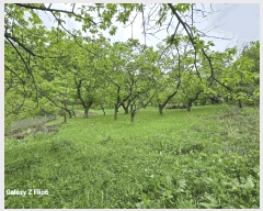  2023Ÿ2448 泲 ο  Ŵ븮 266-1      ,â