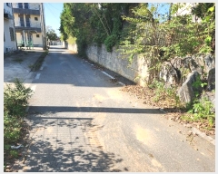  2023Ÿ��22060 �泲 ����� ������ Ȳȭ���� 976      ���ڽü�,����,ȣ��,�������