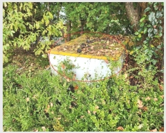  2023Ÿ��22060 �泲 ����� ������ Ȳȭ���� 976      ���ڽü�,����,ȣ��,�������