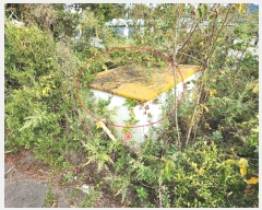  2023Ÿ��22060 �泲 ����� ������ Ȳȭ���� 976      ���ڽü�,����,ȣ��,�������