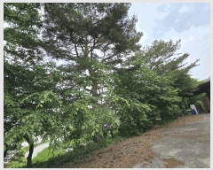  2023Ÿ��1223 �泲 ����� ����� ������ 95-1      ����,â�����