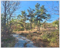  2023Ÿ��1957  �Ӿ߰��