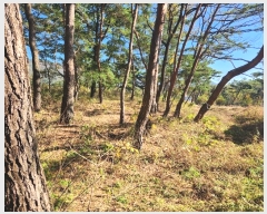  2023Ÿ��1957  �Ӿ߰��