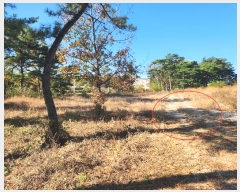  2023Ÿ��1957  �Ӿ߰��