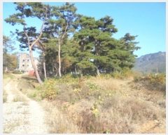  2023Ÿ��1957  �Ӿ߰��