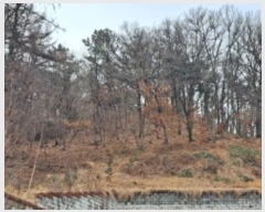  2023Ÿ��113112 �泲 �ƻ�� ���θ� ������ 482-26      ����(�Ӿ�)���