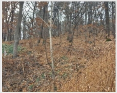  2023Ÿ��113112 �泲 �ƻ�� ���θ� ������ 482-26      ����(�Ӿ�)���