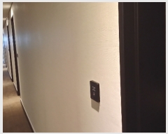  2023Ÿ��4157 �泲 õ�Ƚ� ���ϱ� ������� 12, 9��913ȣ (�ֿ뵿,õ�ȶ󸶴پ��ڸ�ȣ��)    �ܵ�(ȣ��)���