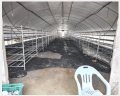  2023Ÿ��1472  ����