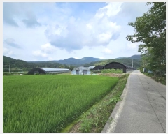  2023Ÿ��21193 �泲 ���ֽ� ���� ���ո� 298-3      ����(��)���