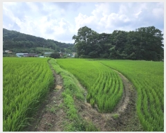  2023Ÿ��21193 �泲 ���ֽ� ���� ���ո� 298-3      ����(��)���