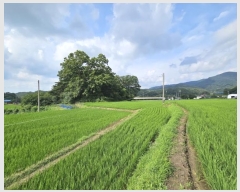  2023Ÿ��21193 �泲 ���ֽ� ���� ���ո� 298-3      ����(��)���