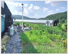  2023Ÿ��21193 �泲 ���ֽ� ���� ���ո� 298-3      ����(��)���