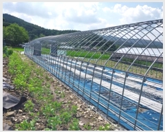  2023Ÿ��21193 �泲 ���ֽ� ���� ���ո� 298-3      ����(��)���