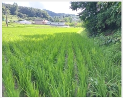  2023Ÿ��21193 �泲 ���ֽ� ���� ���ո� 298-3      ����(��)���