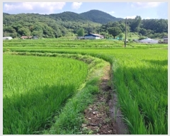  2023Ÿ��21193 �泲 ���ֽ� ���� ���ո� 298-3      ����(��)���