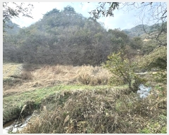  2023Ÿ1243 泲 ֽ ȸ  303-5      (1)