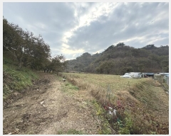  2023Ÿ1243 泲 ֽ ȸ  303-5      (1)