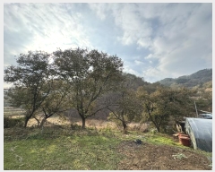  2023Ÿ1243 泲 ֽ ȸ  303-5      (1)