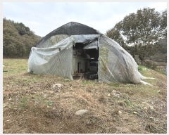  2023Ÿ1243 泲 ֽ ȸ  303-5      (1)