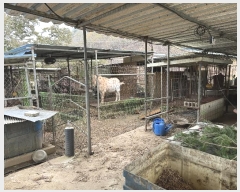  2023Ÿ1243 泲 ֽ ȸ  303-5      (1)