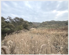  2023Ÿ1243 泲 ֽ ȸ  303-5      (1)