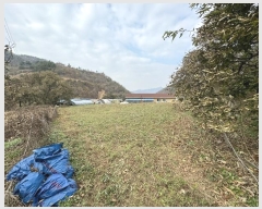  2023Ÿ1243 泲 ֽ ȸ  303-5      (1)