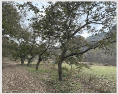  2023Ÿ1243 泲 ֽ ȸ  303-5      (1)