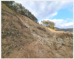  2023Ÿ21933 泲 ֽ  帮 272-47      (Ӿ)